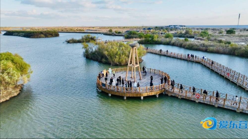 理且效率高 理且效率高