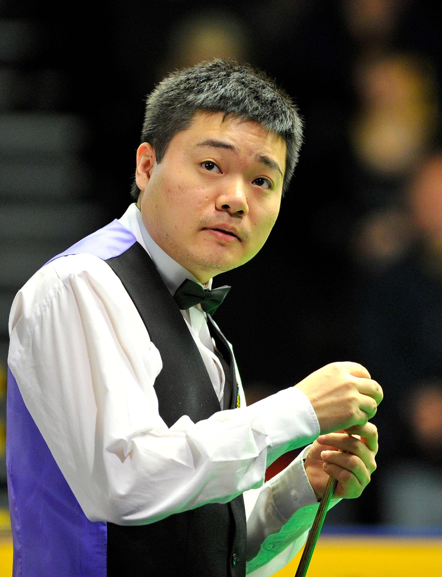 表现和潜力 表现和潜力