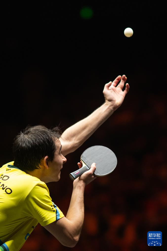 转会市场动 转会市场动