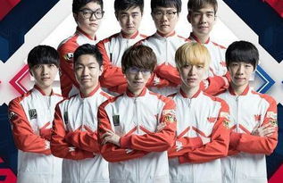 大陆队一枝 大陆队一枝